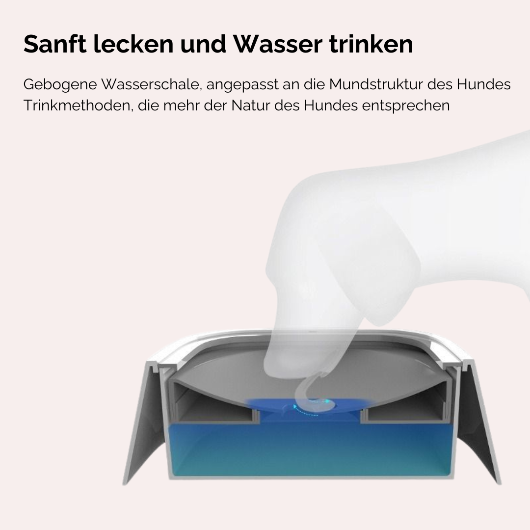 SipSmart – Die spritzfreie Anti-Schling-Wasserschüssel für Hunde