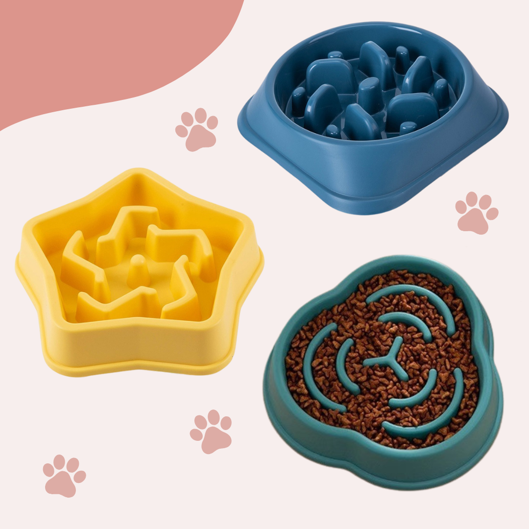 PawFeast – Der Slow Feeder für entspannte Mahlzeiten