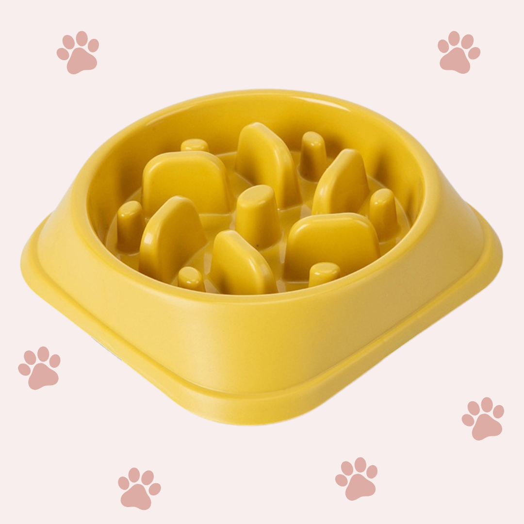 PawFeast – Der Slow Feeder für entspannte Mahlzeiten