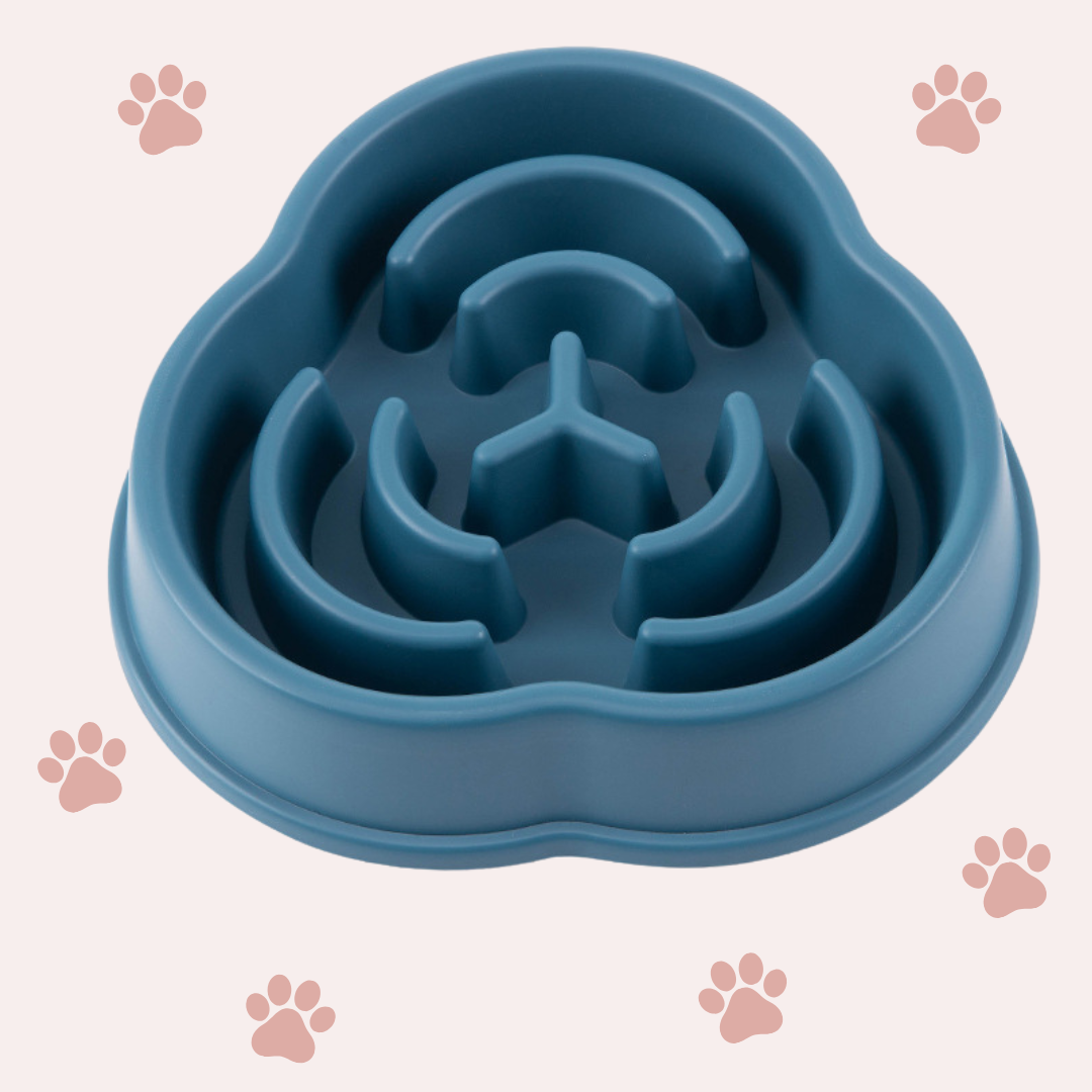 PawFeast – Der Slow Feeder für entspannte Mahlzeiten