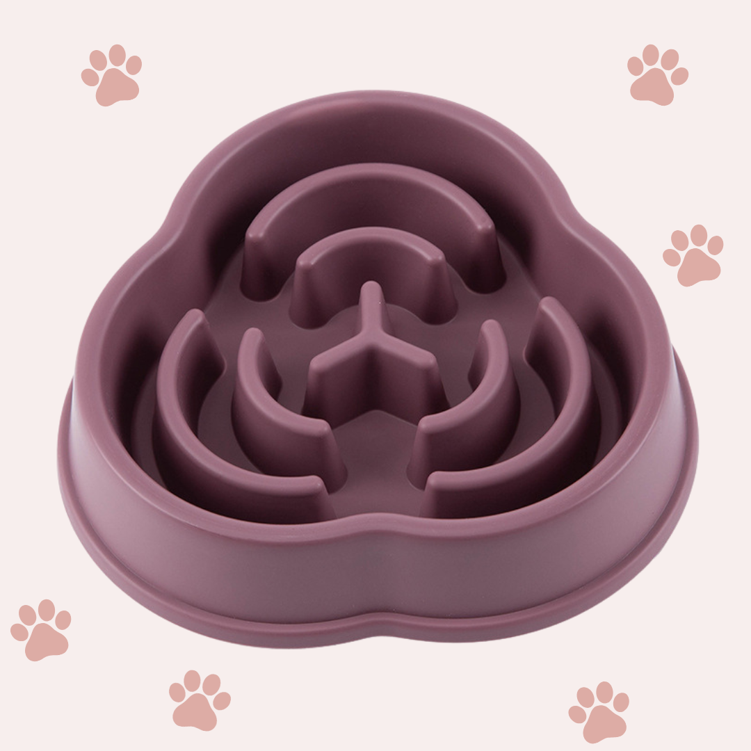 PawFeast – Der Slow Feeder für entspannte Mahlzeiten