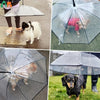 Pawrella – Die Leine mit integriertem Regenschirm für trockene Hunde